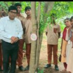 ଗଛକୁ ରାକ୍ଷୀ ବାନ୍ଧି ପରିବେଶ ସୁରକ୍ଷାର ବାର୍ତ୍ତା ଦେଲେ ଛାତ୍ରଛାତ୍ରୀ